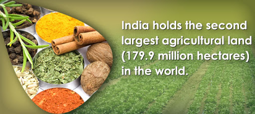 Agriculture in India