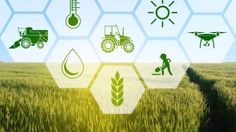 Agriculture