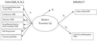 Shadow Economy Working