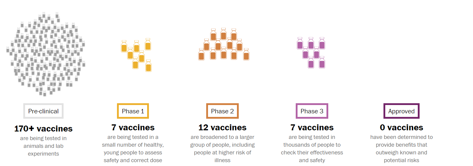 Vaccine Approval Stages