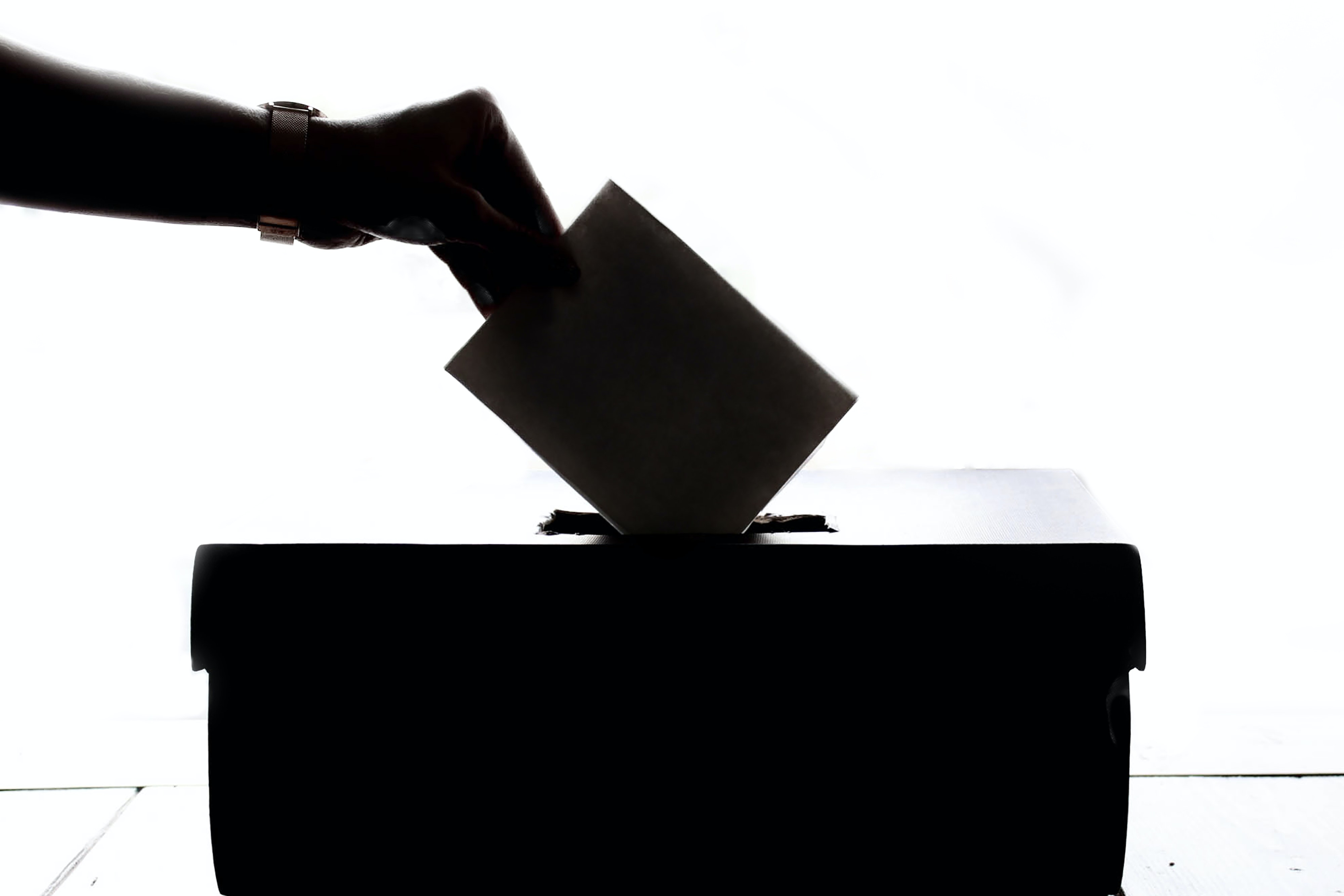The American Elections
