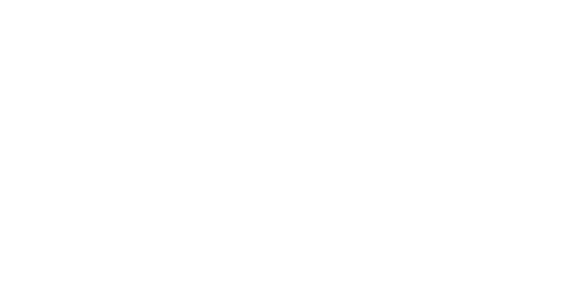 FinZ Capital